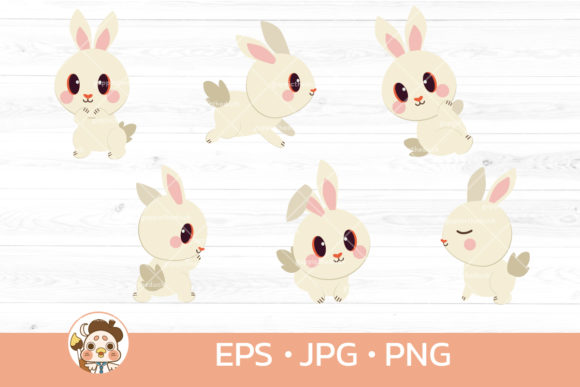 Download Bundle of White Rabbit - White rabbit Collection