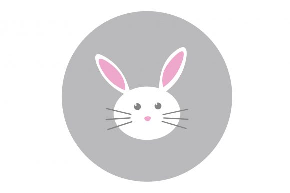 Download White Rabbit with Round Eyes - White rabbit Collection